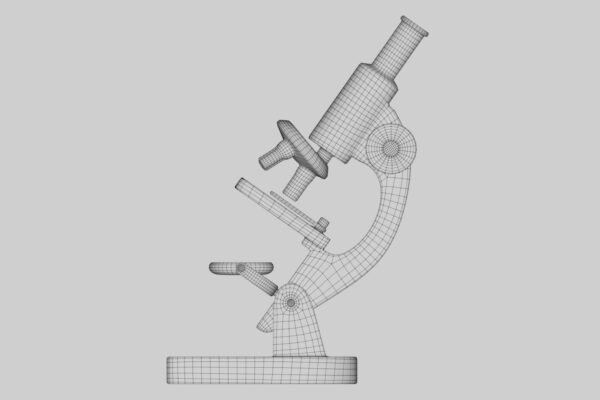 render-wireframe-lateral